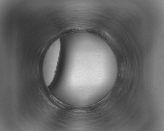 X0000072500500200607140940