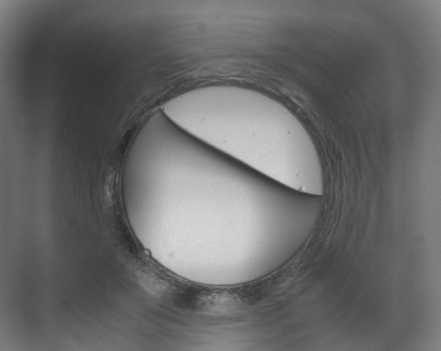 X0000072500503200607140940