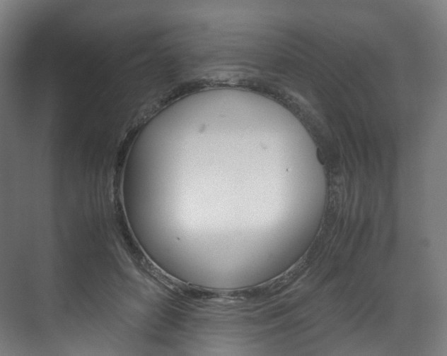 X0000072500504200607140940