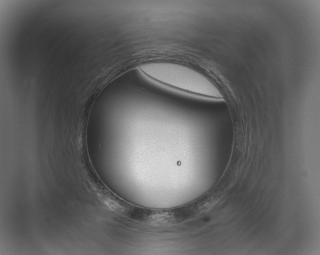X0000072500505200607140940