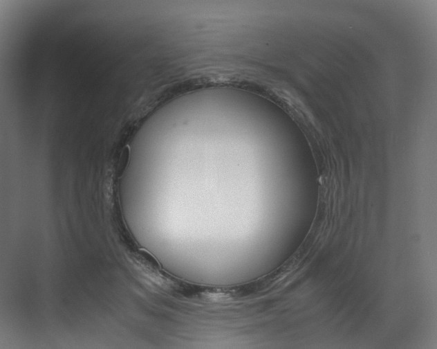 X0000072500509200607140940