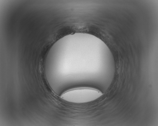 X0000072500515200607140939