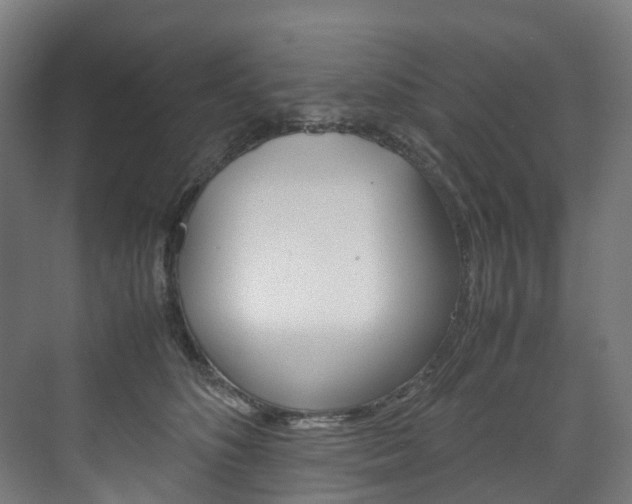 X0000072500516200607140939