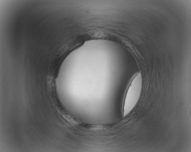 X0000072500521200607140939