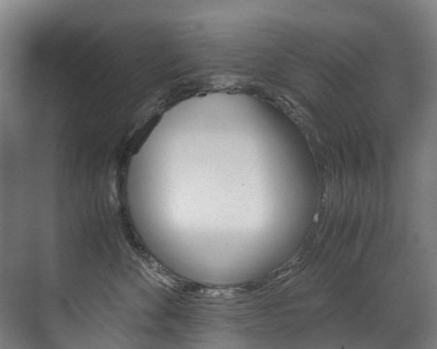 X0000072500524200607140939