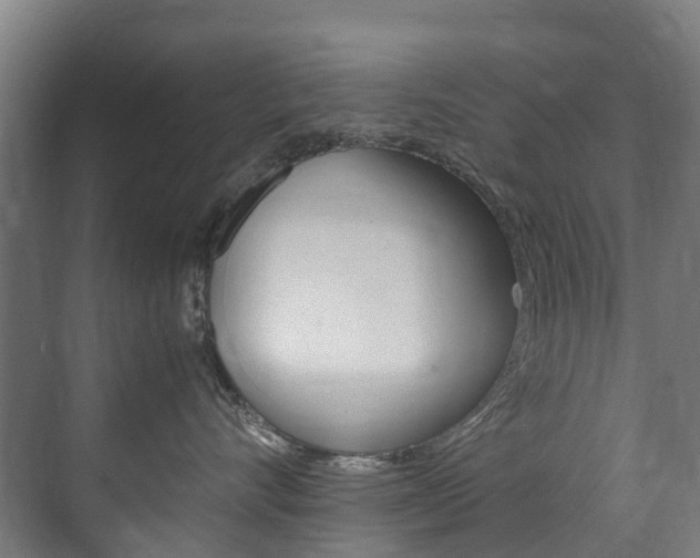 X0000072500528200607140939