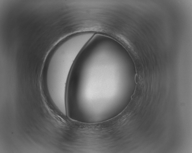X0000072500532200607140938