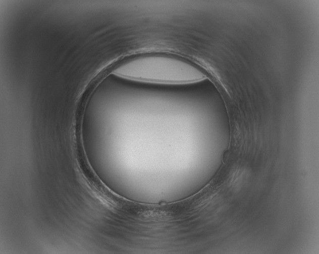 X0000072500535200607140939