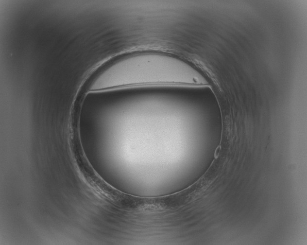 X0000072500536200607140939