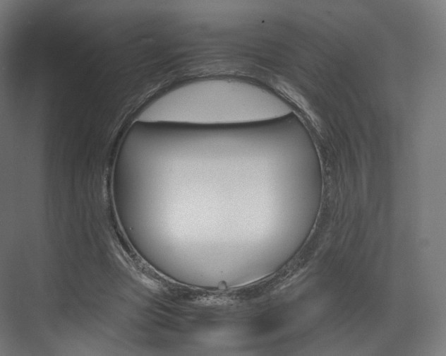 X0000072500537200607140939