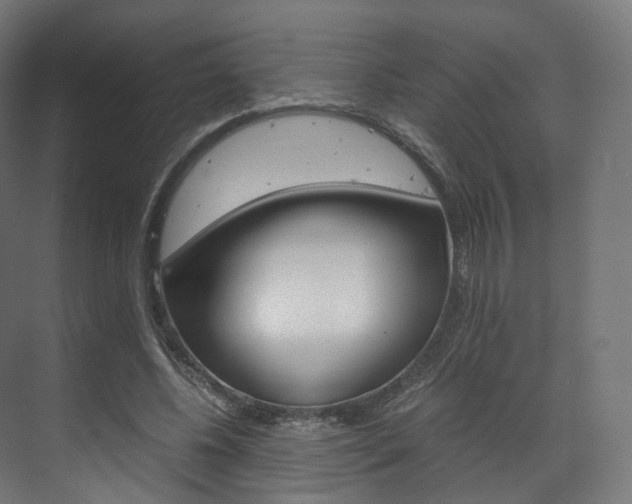 X0000072500540200607140939