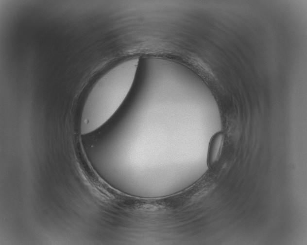 X0000072500542200607140939