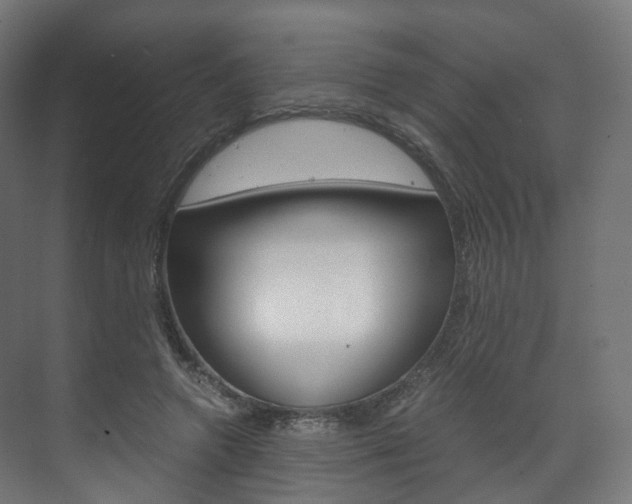 X0000072500546200607140939