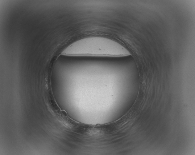 X0000072500547200607140939