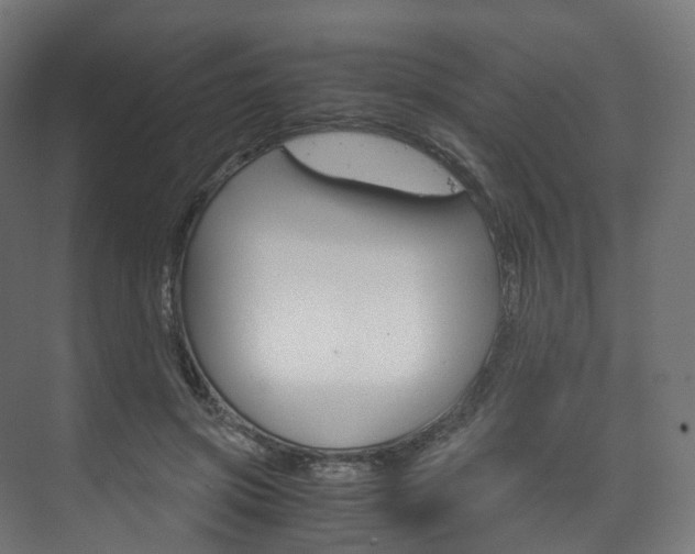 X0000072500549200607140939