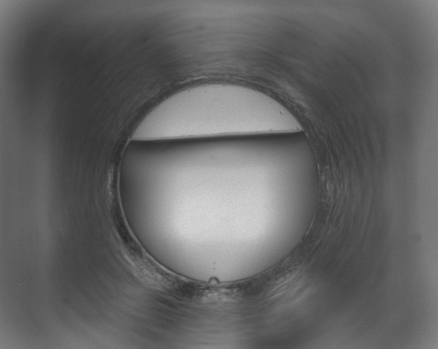 X0000072500550200607140939