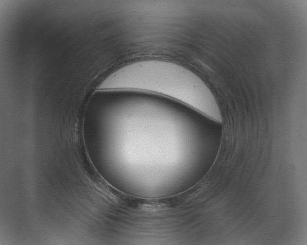 X0000072500556200607140939