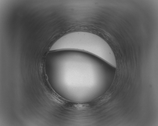 X0000072500558200607140939