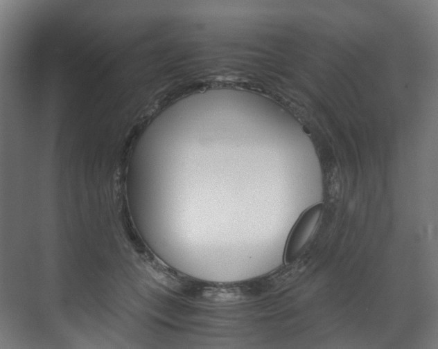 X0000072500559200607140939