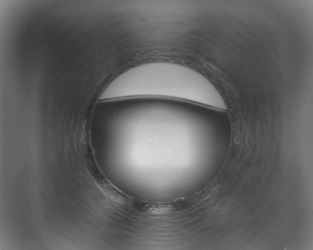 X0000072500560200607140939