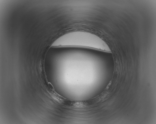 X0000072500562200607140939