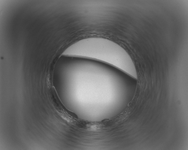 X0000072500564200607140939