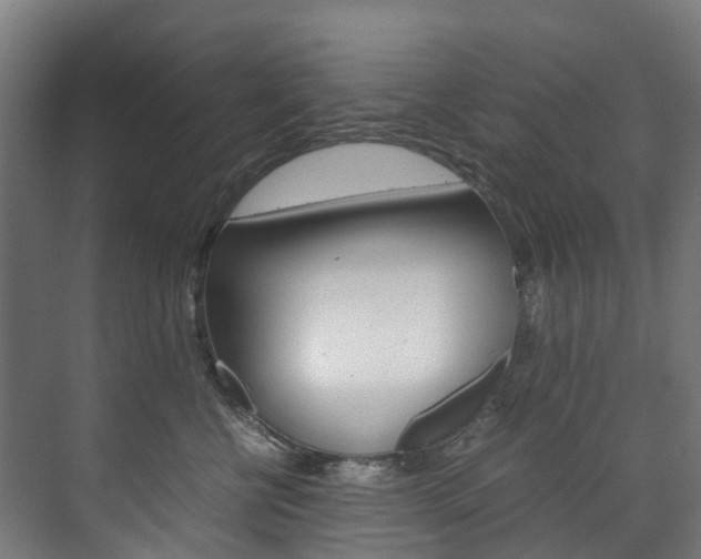 X0000072500570200607140939