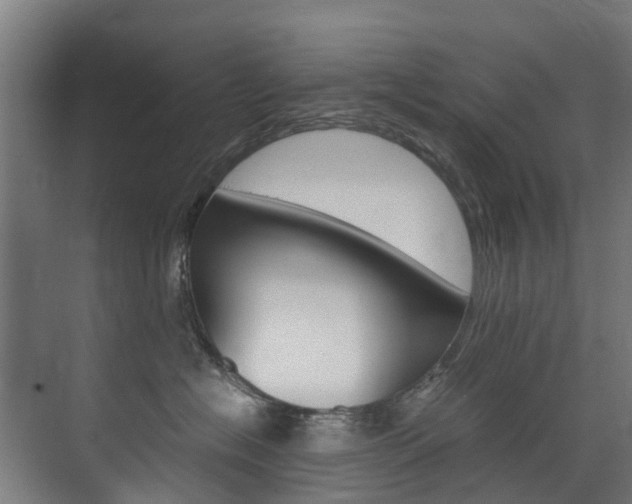 X0000072500574200607140939