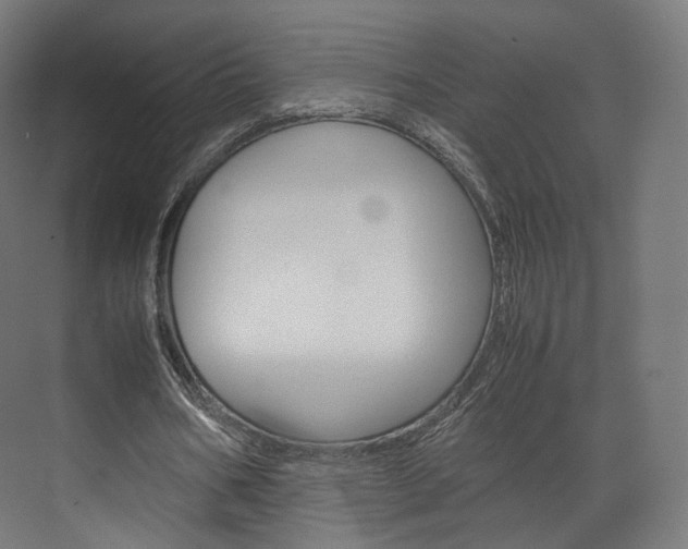 X0000072500578200607140938