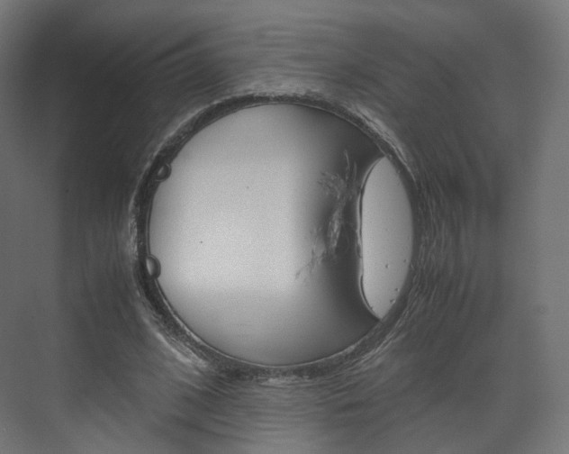 X0000072500584200607140938