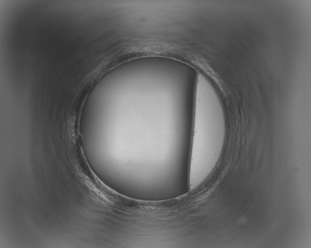 X0000072500585200607140938