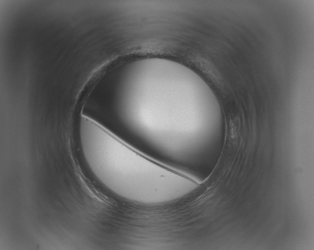 X0000072500588200607140938