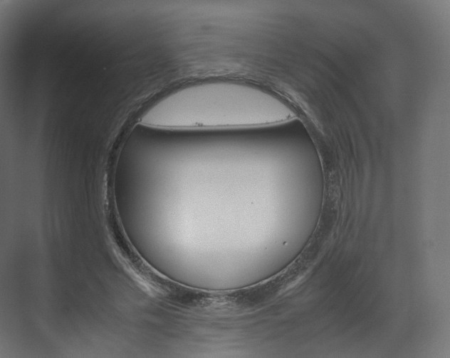 X0000072500589200607140938