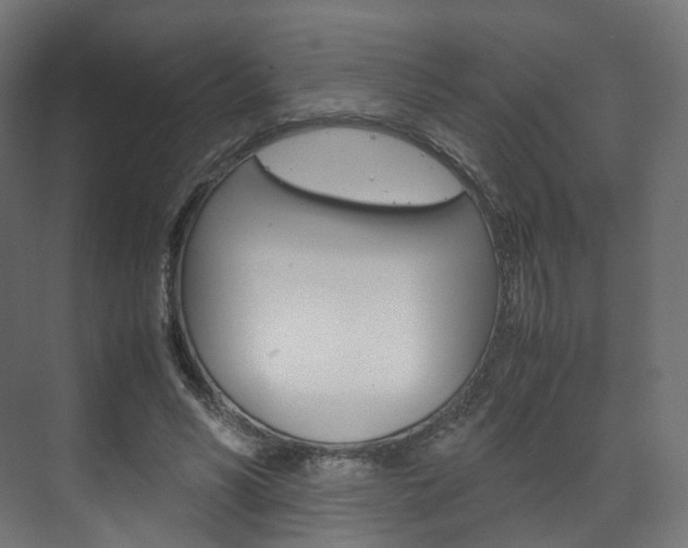 X0000072500590200607140938