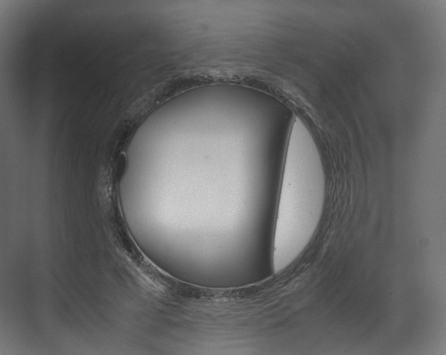 X0000072500593200607140938