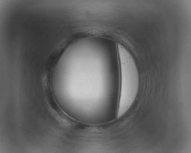 X0000072500597200607140938