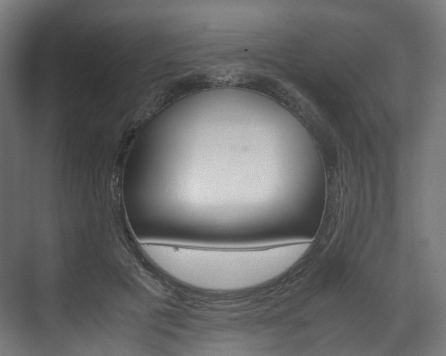 X0000072500601200607140938
