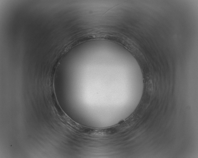 X0000072500604200607140938