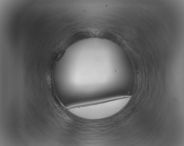 X0000072500613200607140938