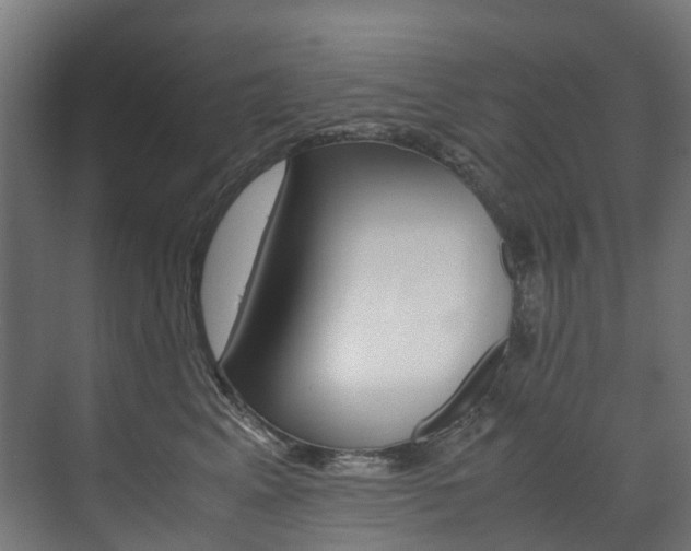 X0000072500617200607140938