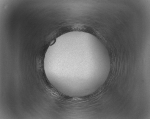 X0000072500619200607140938