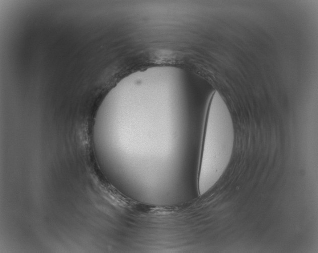 X0000072500620200607140938