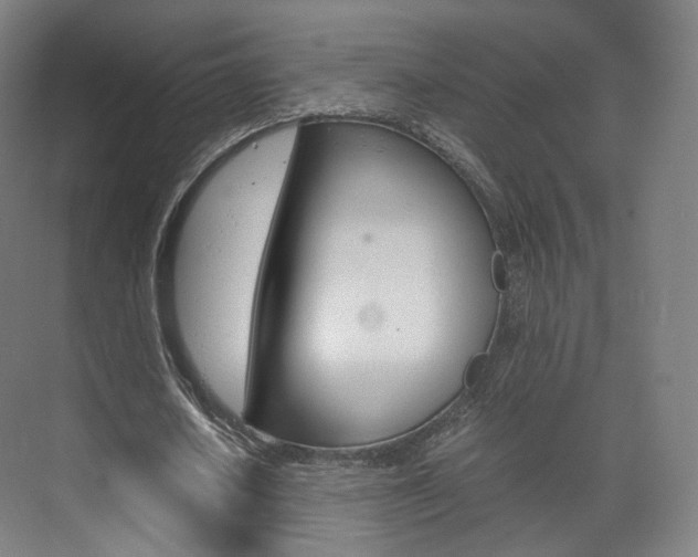 X0000072500626200607140937
