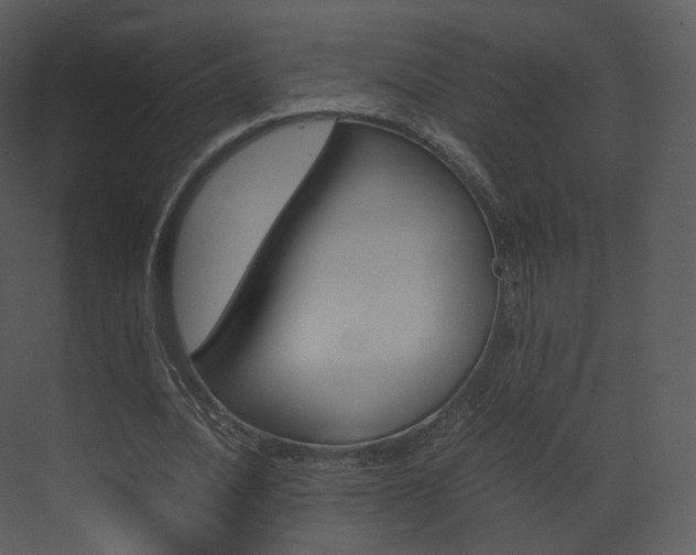 X0000072500628200607140937