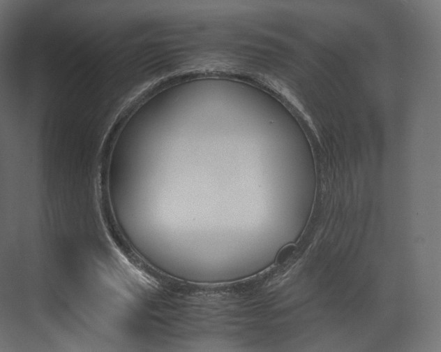 X0000072500629200607140937