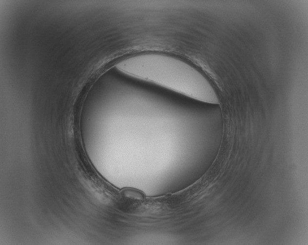 X0000072500631200607140937