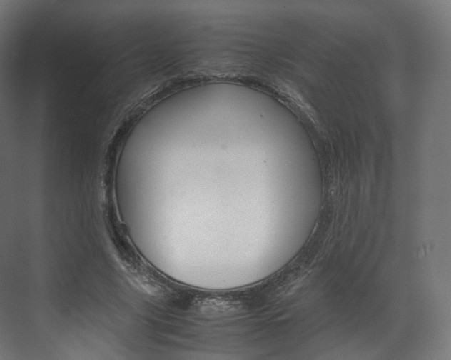 X0000072500635200607140937