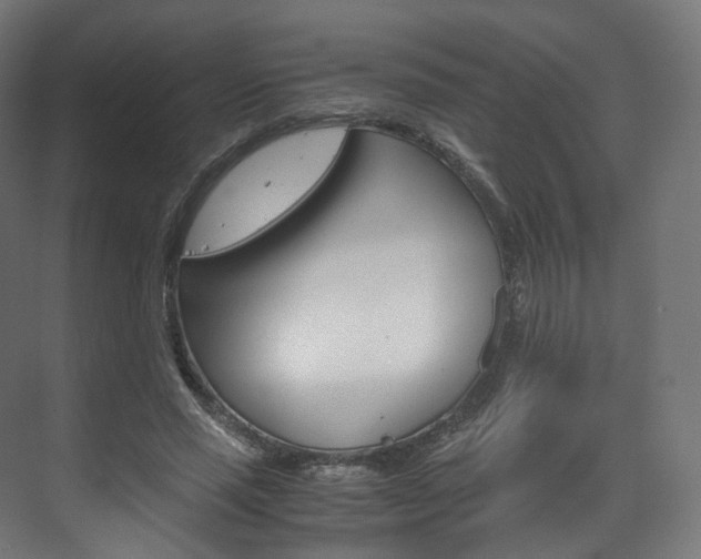 X0000072500637200607140937