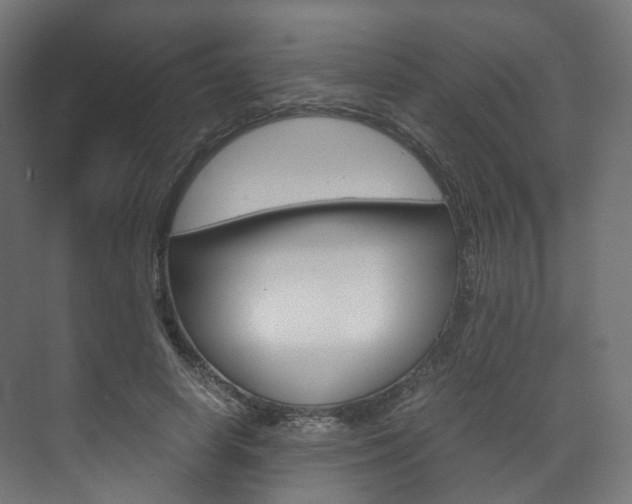 X0000072500642200607140937