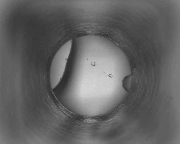 X0000072500650200607140937